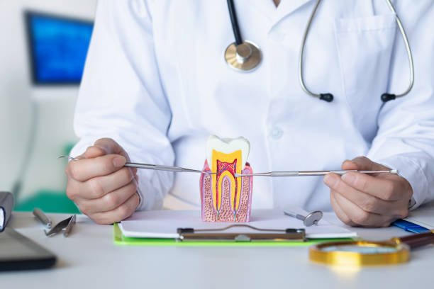 Best Emergency Tooth Extraction in Sullivans Island, SC
